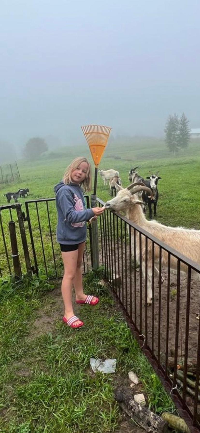 Piekalne Hotel Kalniesi Bagian luar foto